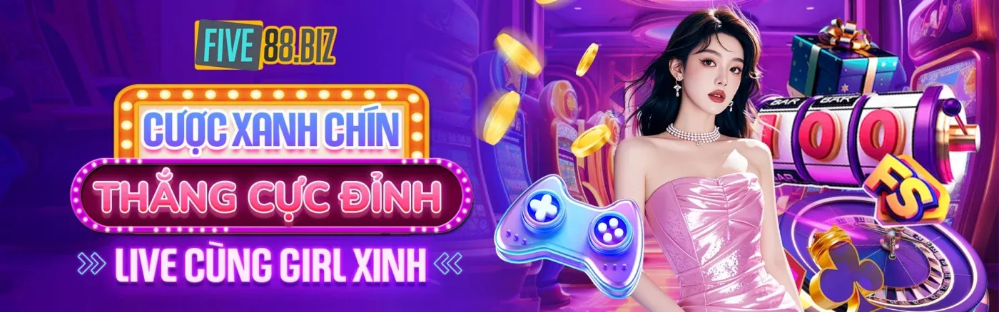 Hình ảnh chính về Tuân thủ GDPR của xibet link vào